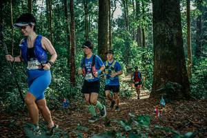 BIB: 
                            <button type="button" onclick="openModal(26131306)" class="btn btn-primary btn-sm float-right btn-popup" data-toggle="modal" data-target=".modal-high-quality">
                        <i class="fas fa-shopping-cart"></i> Add to Cart
                    </button>
                                            <button type="button" onclick="isThisMe(26131306, true)" class="btn btn-success btn-sm float-right btn-popup btn-isme hidden" data-toggle="tooltip" data-placement="bottom" title="นี่คือรูปของคุณใช่ไหม คลิกที่นี่เพื่อเอาเข้าอัลบั้ม">
                        <i class="fas fa-plus"></i> Add to album
                    </button>
                    <button type="button" onclick="isThisMe(26131306, false)" class="btn btn-warning btn-sm float-right btn-popup btn-isnotme hidden">
                        <i class="fas fa-ban"></i> Remove from album
                    </button>